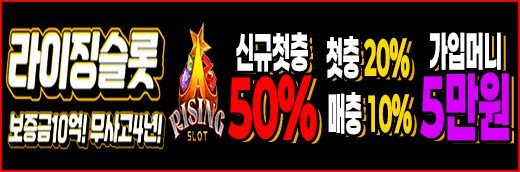 티비위키 제휴 라이징슬롯